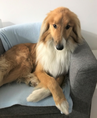 Casper - Visitor Entertainment Specialist